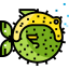 Favicon